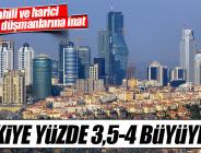 Şimşek: Türkiye yüzde 3,5-4 büyüyecek