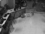 Su içen köpeğe tekme atarken yere çakıldı!