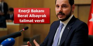 Bitkiden altın izi sürülecek
