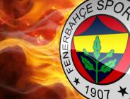 Fenerbahçe’de Fernandao ve Josef yolcu