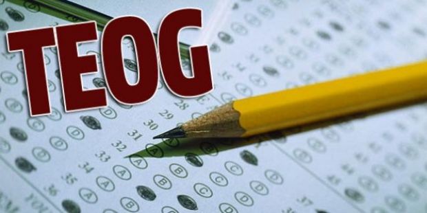 TEOG 3. nakil sonuçları açıklandı!