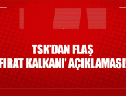 TSK: 15 hedef 99 obüs atışı ile vuruldu
