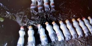 PKK’nın bombaları portakal bahçesinde yakalandı