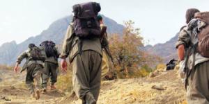 Siirt’te eylem hazırlığındaki 2 terörist öldürüldü!