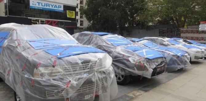 Dolu nedeniyle İstanbul’da arabaları poşetlediler!