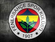 Fenerbahçe Dick Advocaat ile anlaştı!