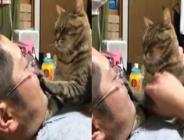 Patisi ile sahibinin ağzını kapatan kedi