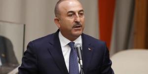 ‘Türk halkı ABD’ye tepkili’