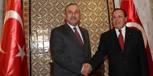 Dışişleri Bakanı Çavuşoğlu, Cihinavi ile görüştü
